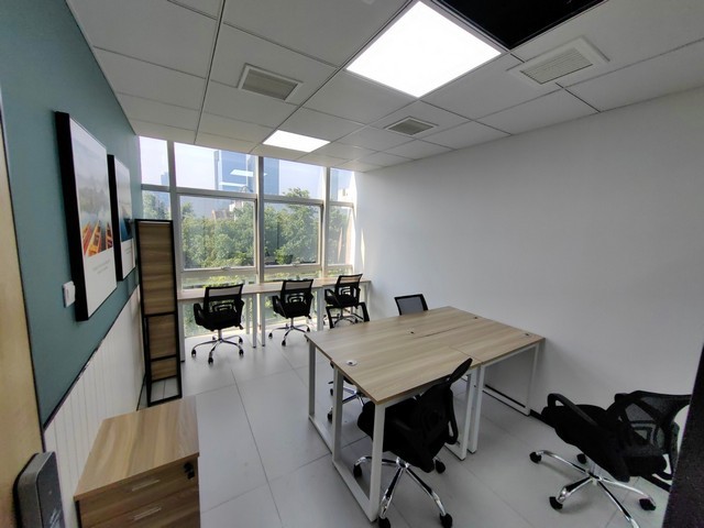 南通茉莉花种植基地